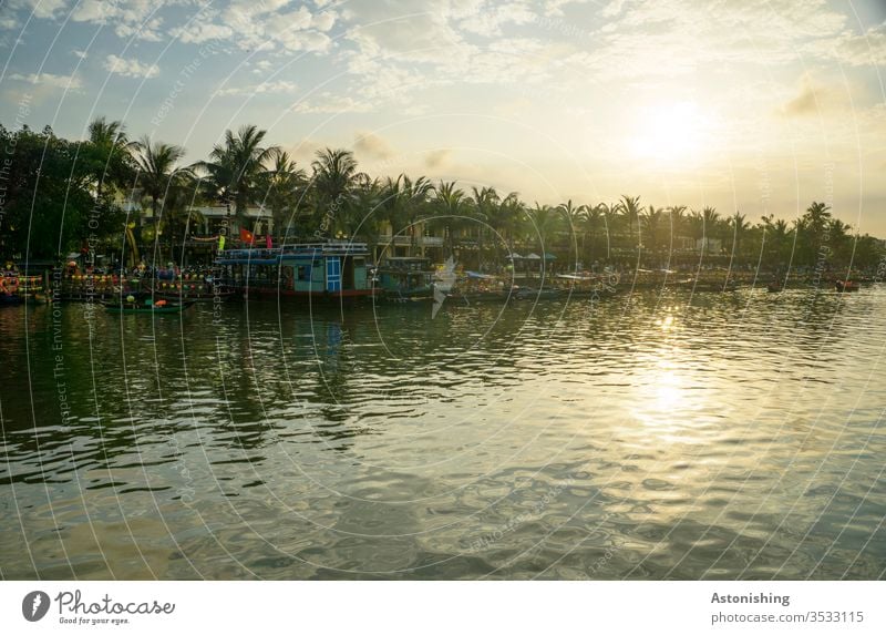 Evening in Hoi An at the Thu Bon River Vietnam Asia Sun palms reflection Nature Water Exterior shot Vacation & Travel Reflection Landscape Sky Tourism Sunset