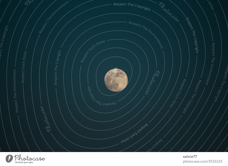 full moon Moon Full  moon Night sky Nature Sky conceit Moonlight Deserted Contrast Center point