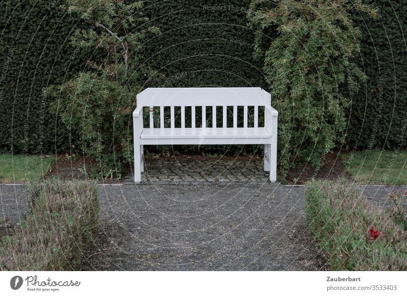 A quiet place - white bench between two bushes in a park Bench Park Garden bench off wax Lawn Castle grounds Oranienburg tranquillity rest Sit Sit down Break