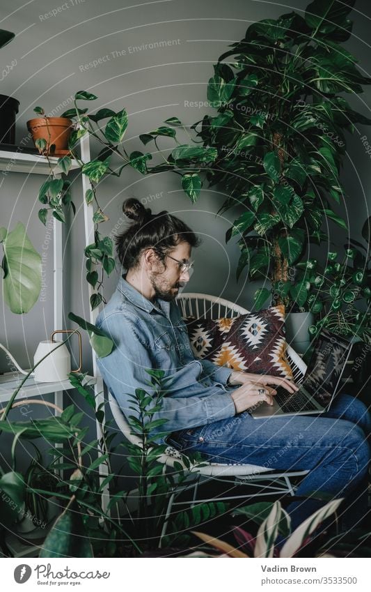 Young man with beard sitting on the chair and using laptop. Freelance work from home in quarantine concept apartment attractive browsing plants chatting