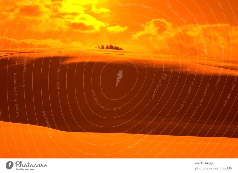 snowy desert Orange filter Back-light Clouds Winter Hill February Mountain Harz Snow Sun. orange Altenau Shadow