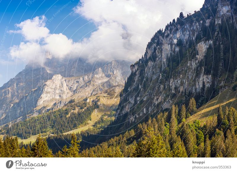 summertime Environment Nature Landscape Plant Elements Air Water Sky Clouds Sun Sunlight Summer Weather Beautiful weather Fog Warmth Tree Field Forest Rock Alps