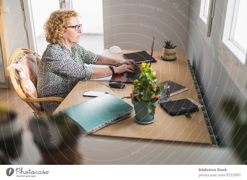 Adult woman working on laptop in room decorated with cactuses in pots plant using freelance home earphones internet remote distance business computer netbook