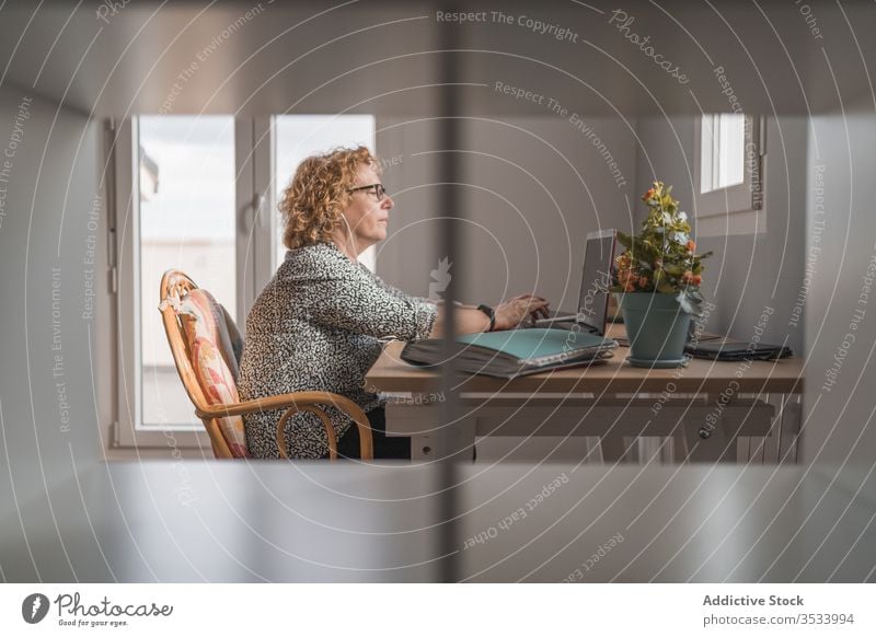 Adult woman working on laptop in room decorated with cactuses in pots plant using freelance home earphones internet remote distance business computer netbook