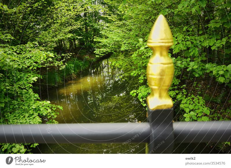 Green and golden Nature out Exterior shot huts foliage leaves Leaf canopy Brook Water fluid silent Idyll bridge piers blurred gold-plated Metal Landscape