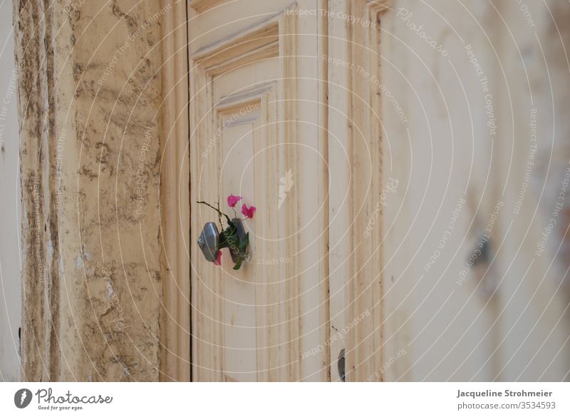 Wooden Door with Flowers in Sliema, Malta sliema malta maltese Wooden door old door vintage door shabby chic shabby wall flower pink flower doorknob