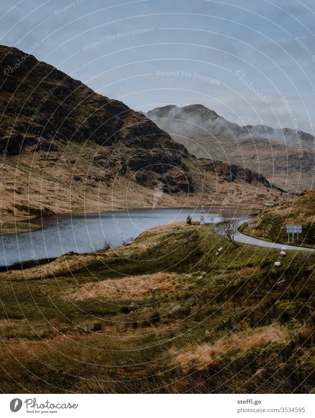 Lake Road in the Highlands of Scotland sheep Nature Landscape Deserted Great Britain Exterior shot Clouds Mountain Europe Water Colour photo Day hillock