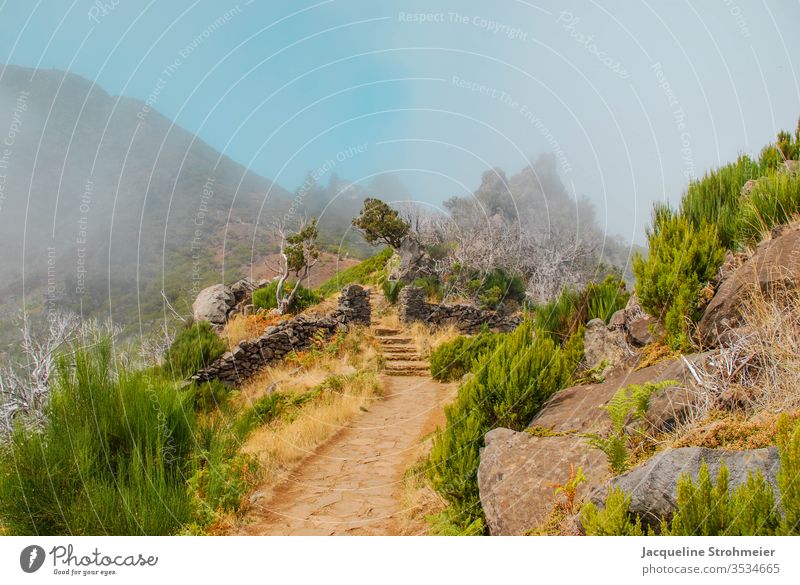 Hiking Towards Pico Ruivo in Madeira madeira portugal europe pico ruivo mountain hiking hiking trail mountain trail trekking sun blue sky fog foggy clouds