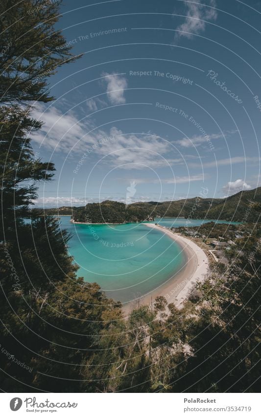 #As# Abel Tasman Abel Tasman National Park abel tasman Abel Tasman Park New Zealand New Zealand Landscape Coast Paradise Paradisical Lagoon Bay Blue Ocean Beach