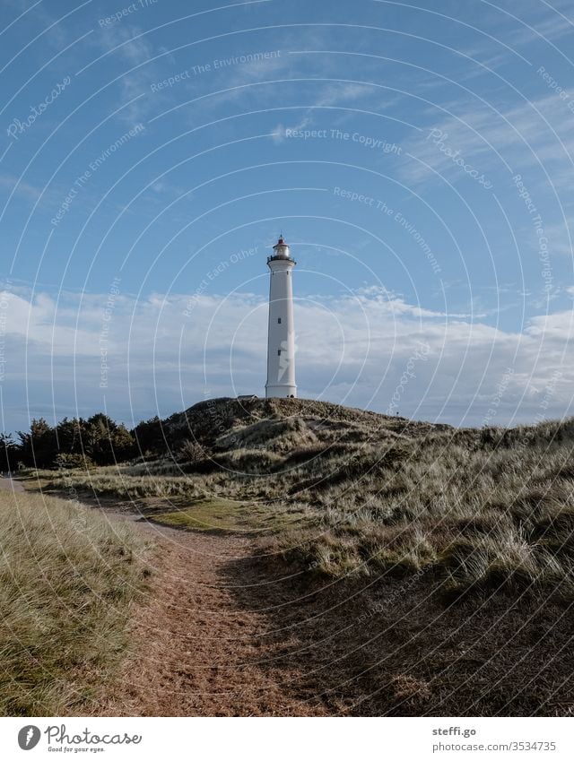 Lighthouse Lyngvig Fyr in the dunes of Hvide Sande Denmark Scandinavia Scandinavian Hvide Sands Vantage point Exterior shot North Sea Landscape