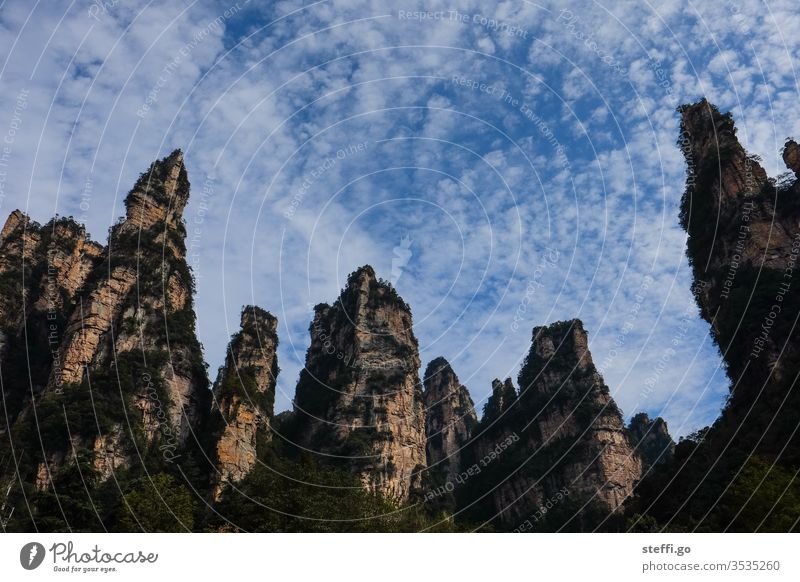 impressive rocks in Zhangjiajie, China known from the movie Avatar Asia zhangjiajie National Park Hunan Nature Colour photo Landscape Exterior shot Environment