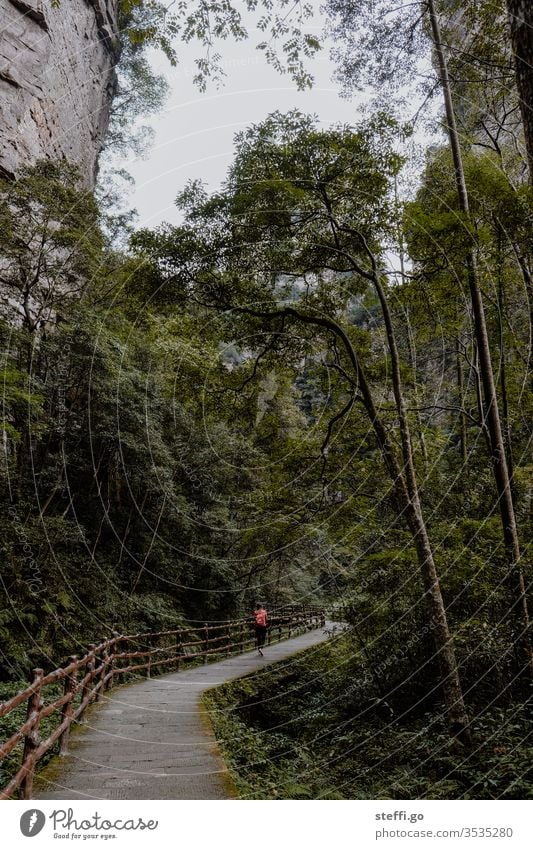 Woman walking on a path between rocks in the forest in China Asia zhangjiajie Hiking stroll To go for a walk Sightseeing relaxation tranquillity Nature