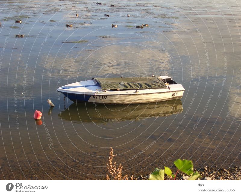 Lonely boat Watercraft Lake Idyll Calm Relaxation Fishing (Angle) Rheingau Rhine Reflection Loneliness Boredom Leisure and hobbies Navigation fishing