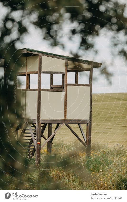 Wooden shelter to observe birds birdwatching Ornithology wooden sheltered from the wind conservation Observe Observatory observation Bird Natural Environment