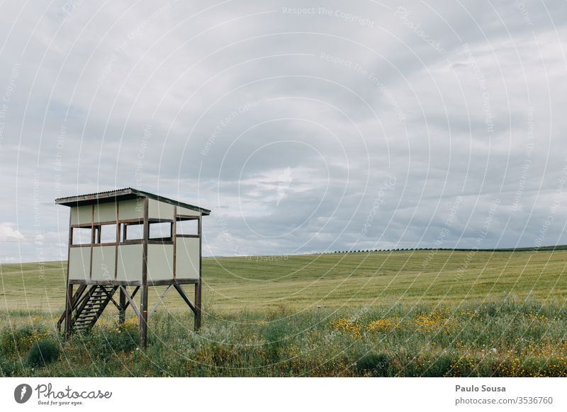 Wooden shelter for birdwatching sheltered from the wind Clouds Shelter wooden wildlife Wildlife Photography Travel photography travel Tourism tour