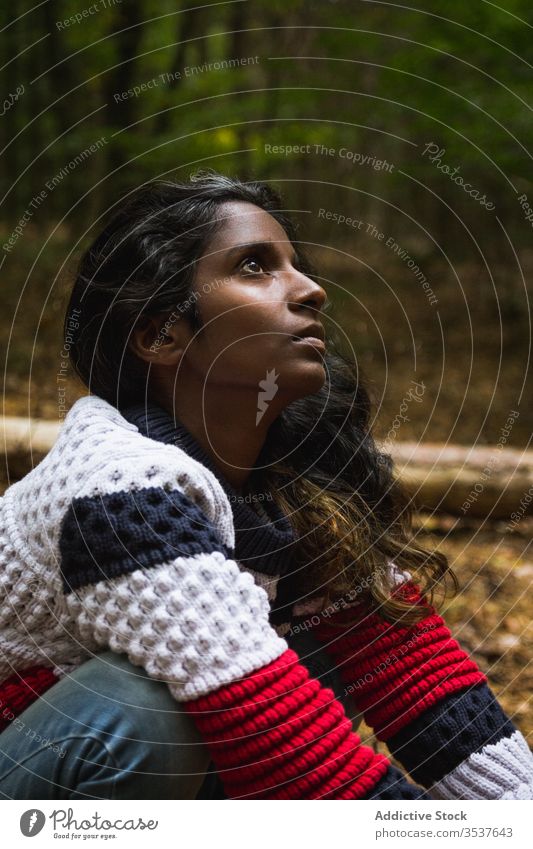 Calm Indian woman in autumn forest barefoot ground casual squat calm wood tranquil female ethnic indian hindu serene unemotional emotionless sweater jeans