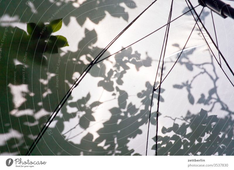 parasol Sunshade Umbrellas & Shades Light sunshine Shadow flaked tree Twig Branch shrubby Garden allotment Garden plot spring Summer holidays tranquillity