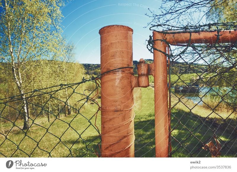 full post Fence Pole Flash photo Metal Wire netting fence Nature Landscape trees Cloudless sky Sunlight Beautiful weather Shadow Grass Light Environment Day Sky