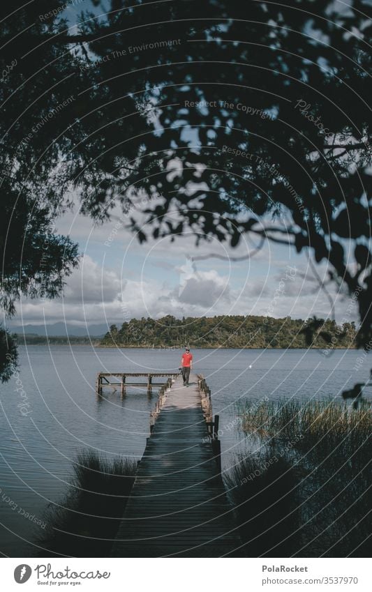 #AS# Lake idyll New Zealand Nature secluded Forest Idyll seclusion Hiking hike wooden walkway Surface of water Adventure Water Footbridge bridge boards