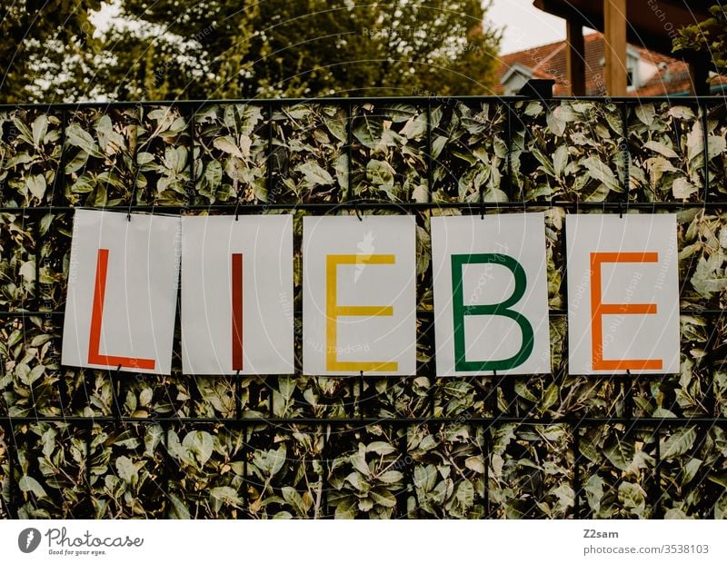 LIEBE kinder schild basteln kindergarten natur zeichen buchstaben lesen abc farbe zaun kindergrippe erziehung spaß bunt color wort grün plakativ Garten liebe