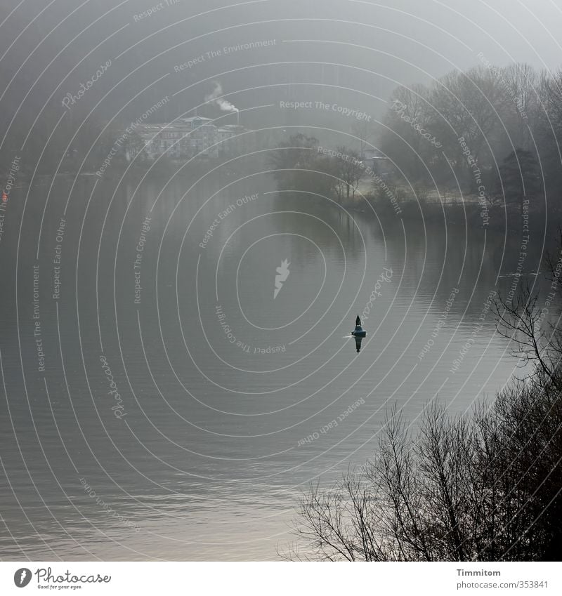 A new morning. Environment Nature Water Fog Plant Tree Bushes River bank Neckar Heidelberg House (Residential Structure) Buoy Esthetic Natural Gray Emotions