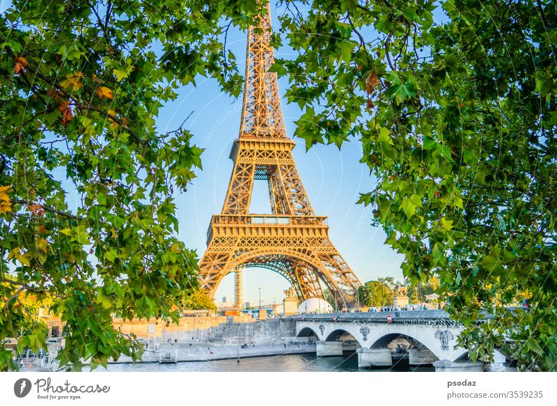 Eiffel tower, Paris. France view through maple leaf ancient architecture beautiful blue bridge building capital city cityscape construction dawn destination