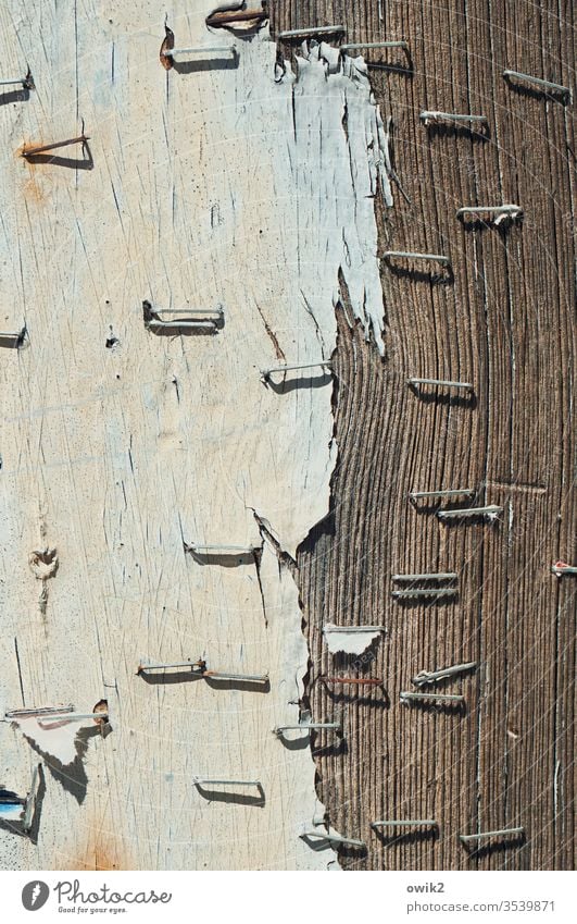 Forgotten messages Wall (building) wood Old Wood grain Structures and shapes Exterior shot Deserted Wooden board Brown Pattern Close-up Detail Day Sunlight