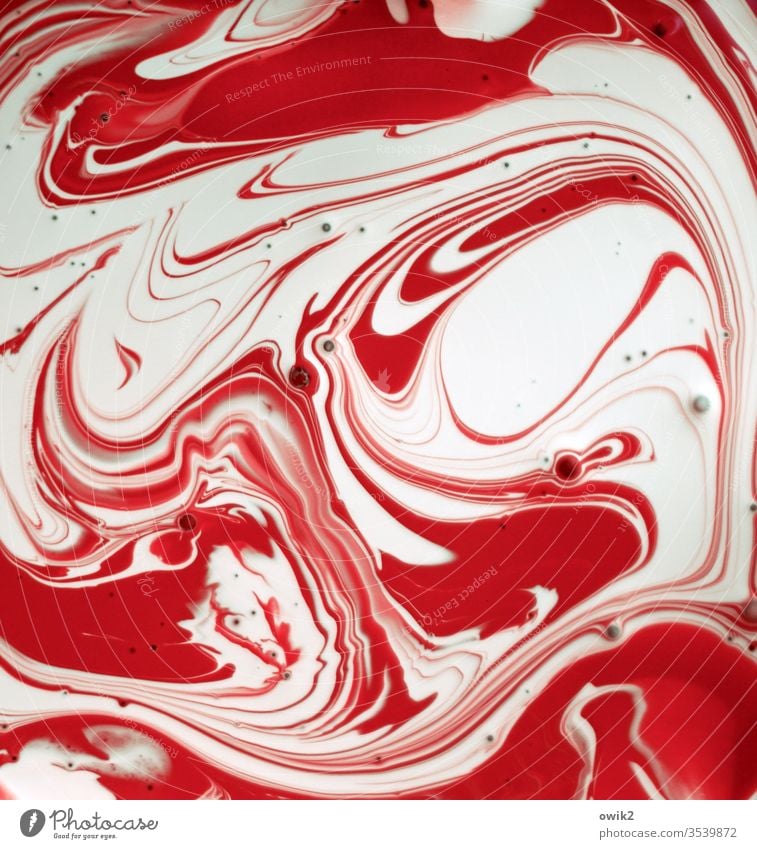 History log Colour Schlieren Dye Red White Sticky Progress Two-tone Abstract Close-up Design Detail Fluid Creativity Art Liquid Flow Acrylic Fat Mix