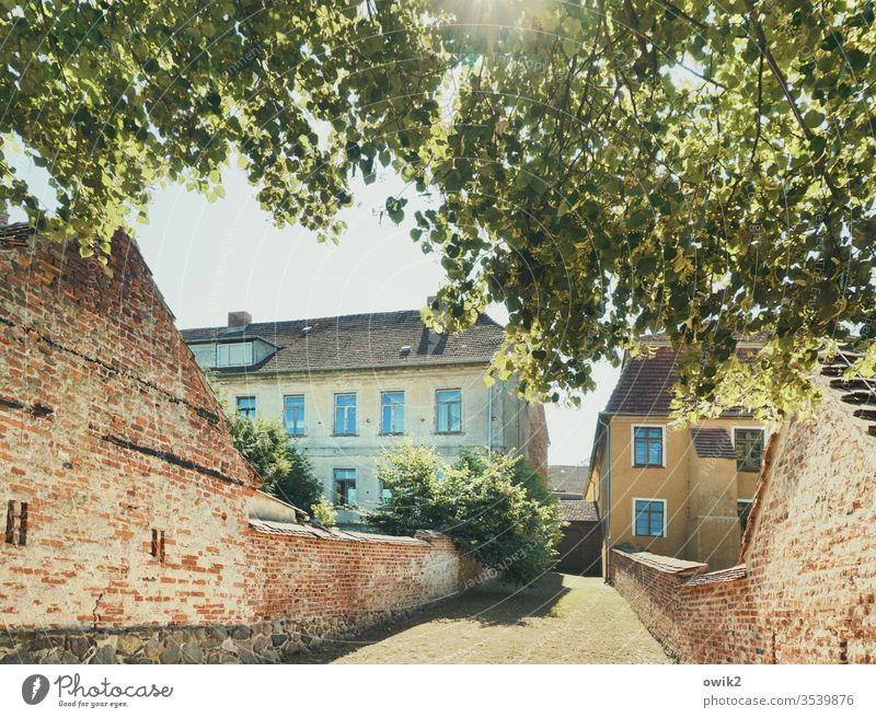 Steep lane Alley houses Sky Sunlight tree foliage Leaf canopy Wall (barrier) Wall (building) Brick wall Window Small Town Mecklenburg-Western Pomerania Idyll