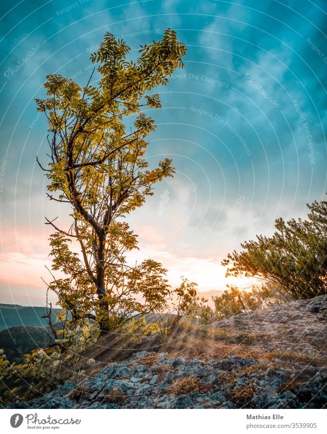 Evening sun on the Swabian Alb Swabian Jura wide stone panorama Light rays Light (Natural Phenomenon) Flare outlook Dusk evening mood evening light afterglows