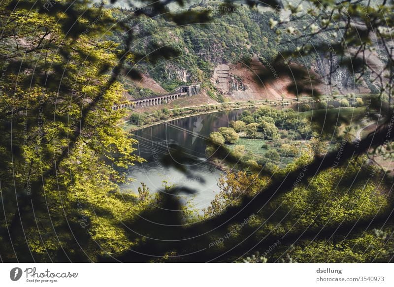 View of the Moselle and green slopes with picturesque railway line Moselle valley Hangings Rock panorama outlook Vantage point Green trees forests Cannon course