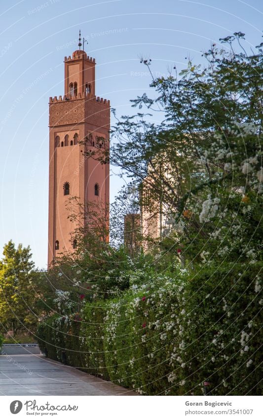 Koutubia mosque in Marakech detail religion church architecture building green arabic islam morocco minaret moroccan muslim travel blue sky islamic africa