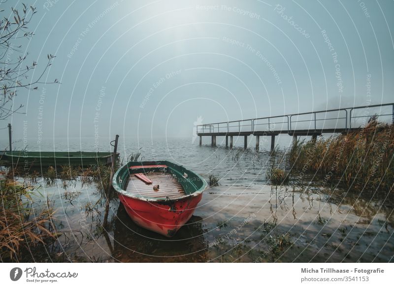 Foggy morning at the lake Lake Body of water Water boats Boats Footbridge wafts of mist Shroud of fog reed Nature Landscape Morning Morning fog Thuringia