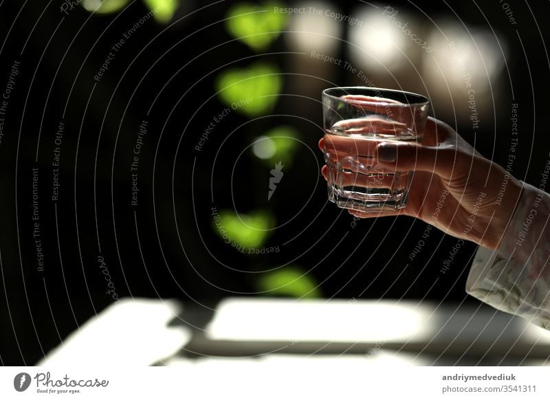 Woman hands isolated, holding a glass of water on a dark background with green leaves. the sun's rays fall on the glass. healthy morning drink natural life