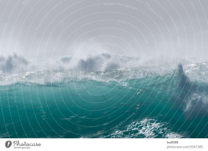 fat wave in the Atlantic breaks with strong spray - summer ! Surf Waves Ocean turquoise Esthetic Water Fluid Strong Energy Fresh Cabo Verde Sun Bright Maritime