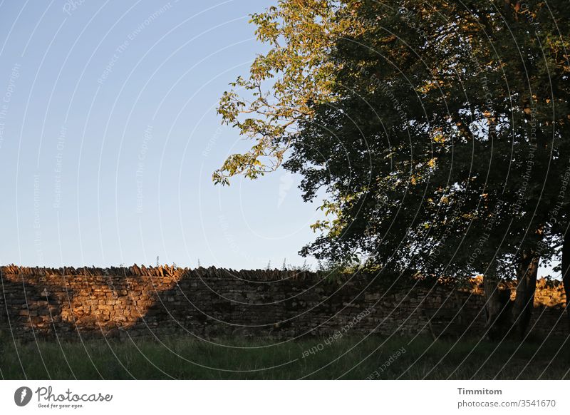 Stone wall in evening light Warmth warm Sky Blue Beautiful weather Light Shadow trees Burgundy France Nature Deserted tranquillity Vacation & Travel Meadow