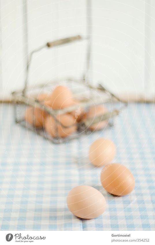 eggs Food Nutrition Organic produce Vegetarian diet Fresh Egg Biological Food photograph Studio shot Shallow depth of field