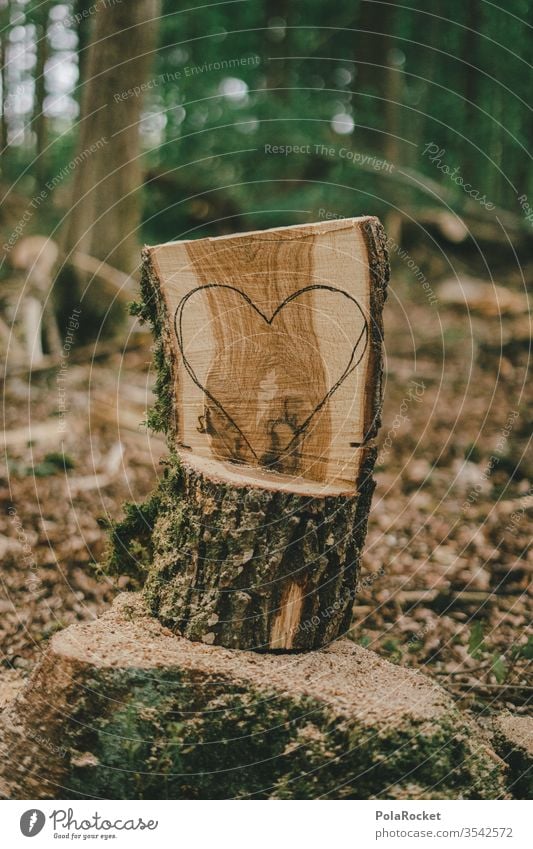 #S# Forest love III Love Heart Love of nature Nature reserve close to nature Experiencing nature Environment Deserted Carve Craft (trade) Tree trunk