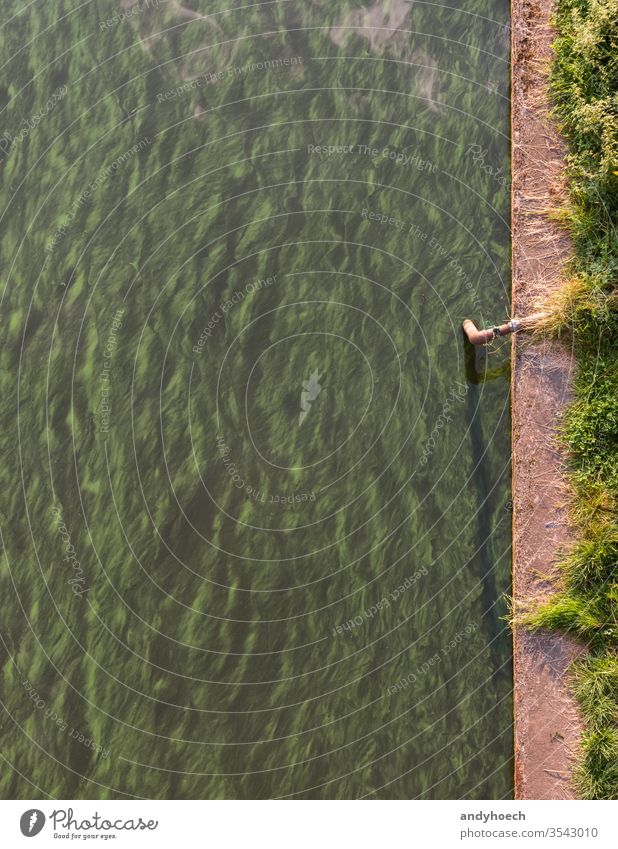 The green river in the middle of berlin algae Background Berlin change climate concrete contamination dahme danger dangerous desert destruction dirty dying