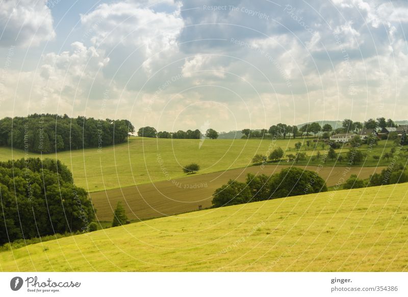 Spring in the Bergisches Land Environment Nature Landscape Sky Clouds Climate Beautiful weather Warmth Tree Bushes Field Forest Hill Blue Green Mountainous area