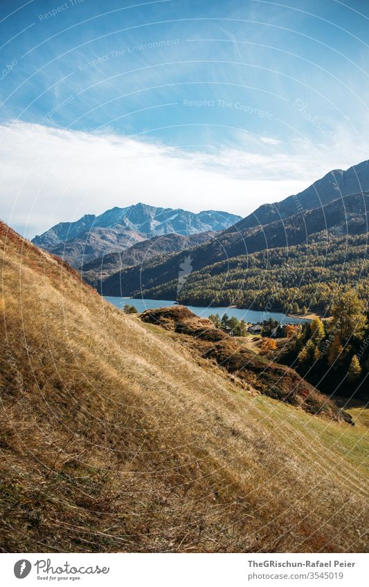 View of lake and mountains slope Meadow Lake Silvaplana lake silvaplana Forest Higher Engadin Nature Landscape Hiking Deserted Mountain Alps Water Sky