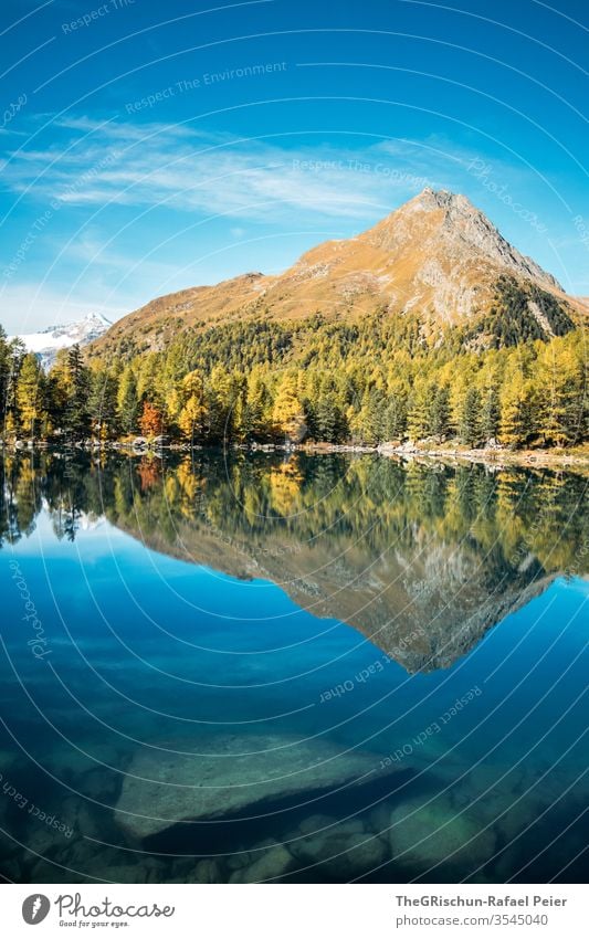 Lake with reflection Forest Nature Landscape Hiking Deserted Mountain Alps Switzerland mountain lake Larch Autumn Brook Water clear crystal clear larches