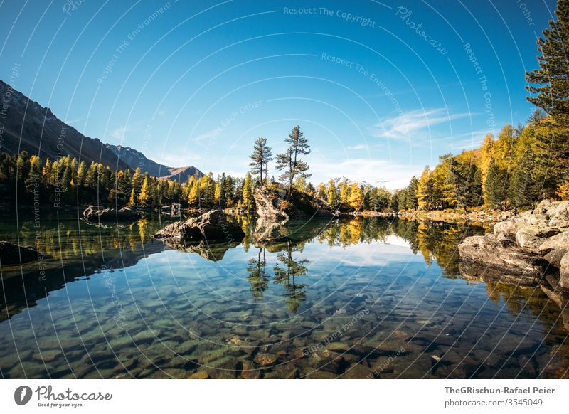 Lake with reflection surrounded by forest Forest Nature Landscape Hiking Deserted Mountain Alps Switzerland mountain lake Larch Autumn Brook Water clear