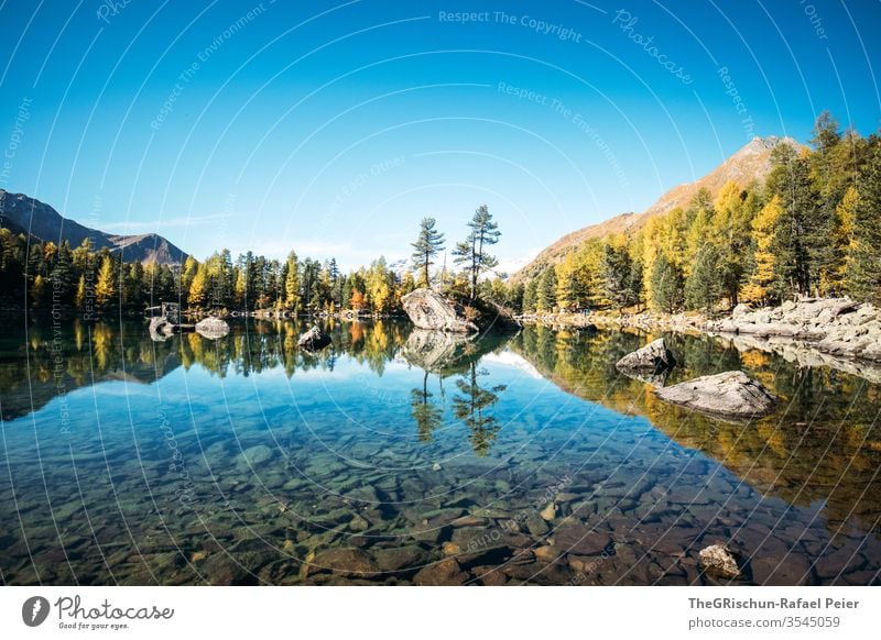 Lake with reflection surrounded by forest Forest Nature Landscape Hiking Deserted Mountain Alps Switzerland mountain lake Larch Autumn Brook Water clear