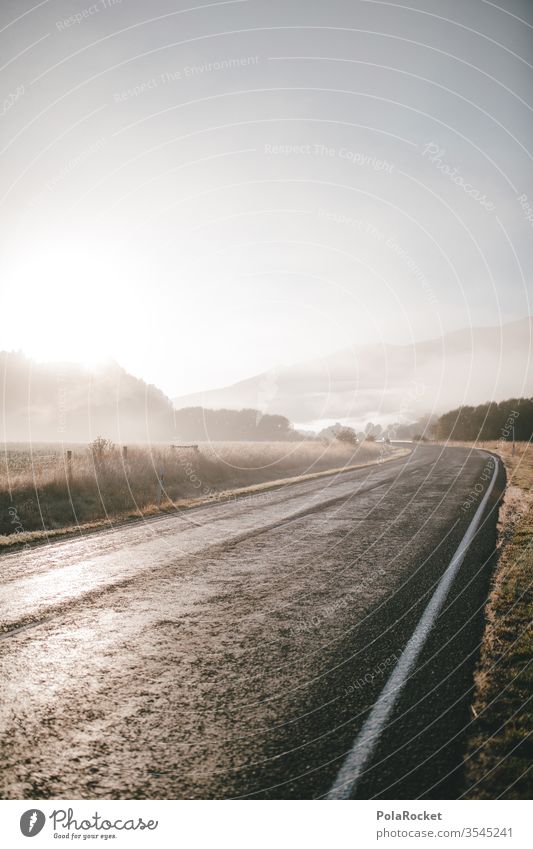 #As# Fog sun Shroud of fog Misty atmosphere Fog bank Sea of fog Wall of fog Covering of fog Patch of fog Country road New Zealand New Zealand Landscape