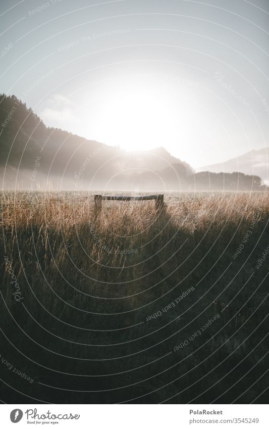 #As# Fog Views Shroud of fog Misty atmosphere Fog bank Sea of fog Wall of fog Cloud forest Covering of fog Patch of fog New Zealand New Zealand Landscape Field