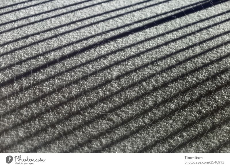 There were cold winters, snow and light and occasionally beautiful shadows Winter chill Snow Light Shadow Handrail lines Black & white photo Exterior shot tree