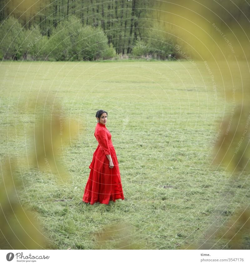 Estila Woman Feminine look Observe green Dress Long-haired braid Dark-haired Meadow Stand Edge of the forest