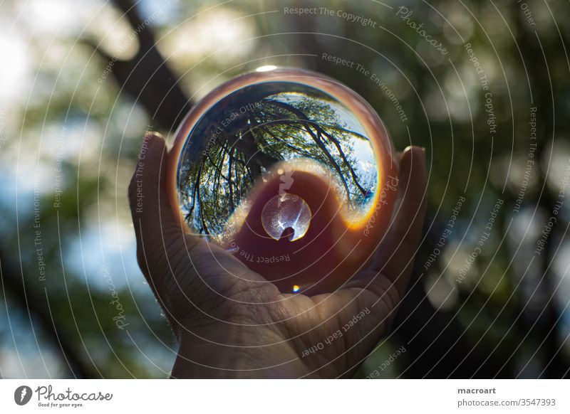 glass ball Glass ball Exterior shot Sphere Day Close-up Light Reflection Colour photo Nature Glittering Round Environment Deserted by hand stop