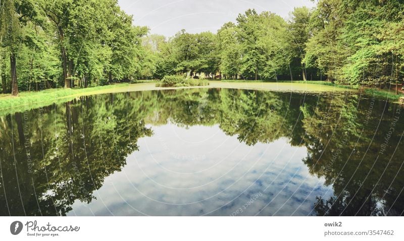 glassy Pond Park Lake Lakeside Water Water reflection Reflection Deserted Exterior shot Colour photo Nature Day Surface of water tree Environment Landscape